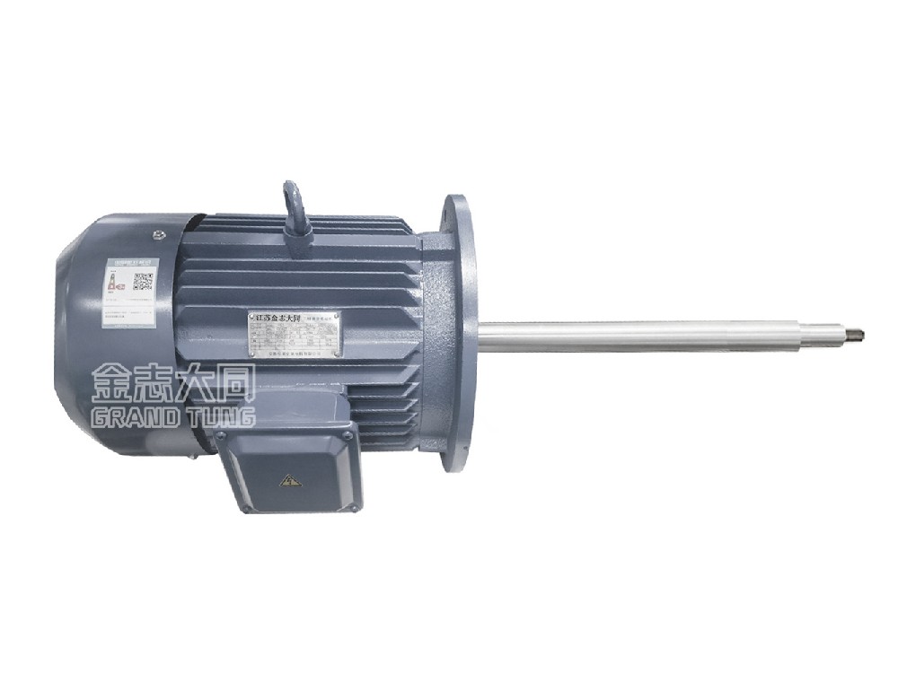 Filter Pump Special Long Shaft Motor