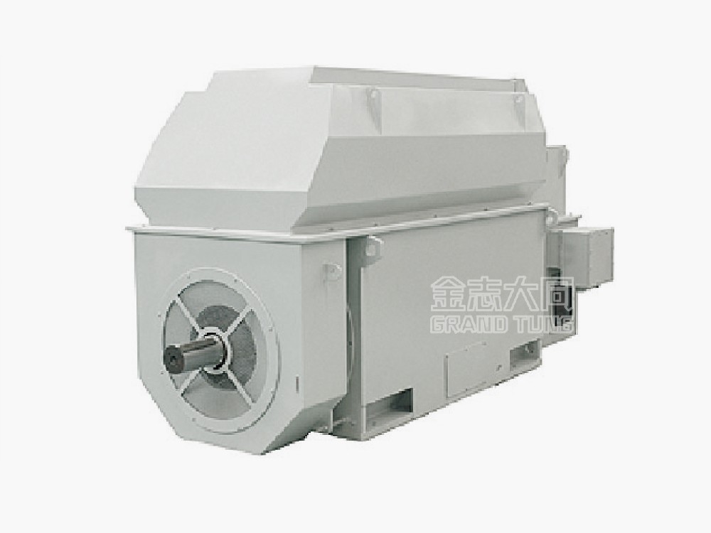 Standard High-Voltage Motor（IP54/IP55）