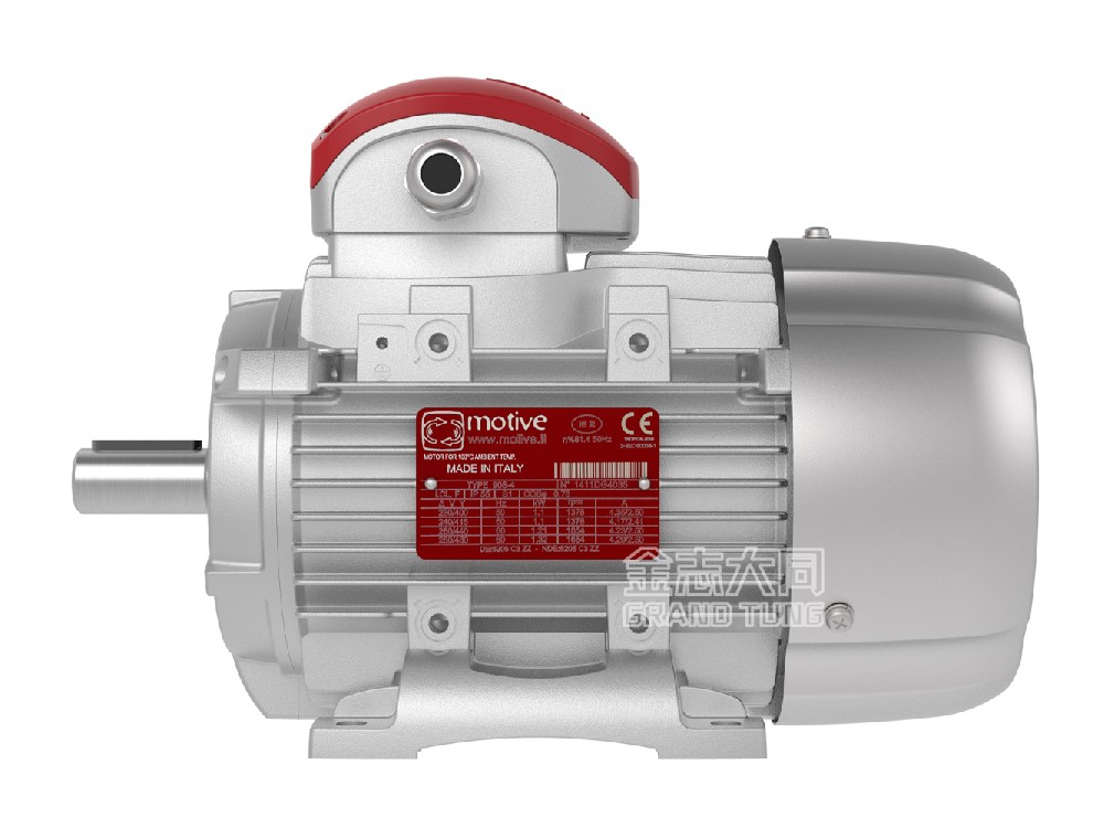 Motive Delfire ThreeE-Phase Motor