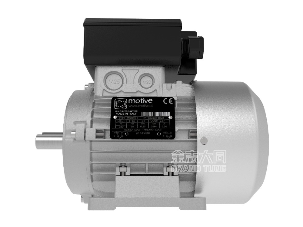 Motive MONO Single Phase Motor