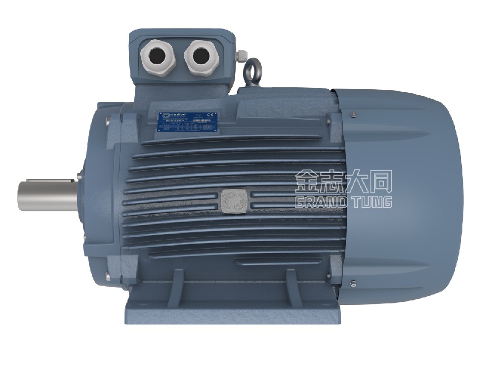 Motive Delphi Three-Phase Motor 160-355