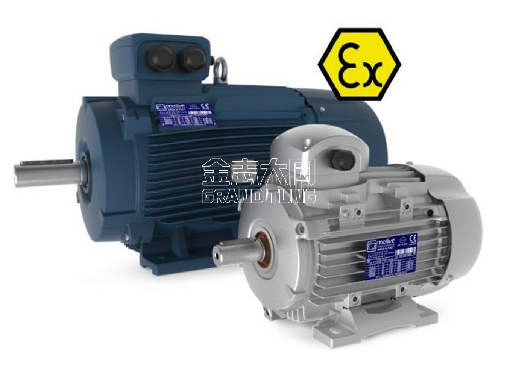 Motive ATEX motors