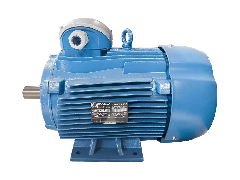 Motive DELPHI三相电机 SIZES 80-132卧式