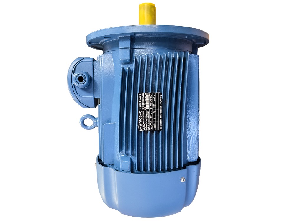 Motive DELPHI三相电机 SIZES 80-132立式